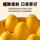 Xibei Noodle Village Red Bean and Corn Wootou 260g 8 pieces Whole grain staple food Breakfast pastry Children's bean paste buns