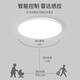 Fanyao led voice-activated sensor light ultra-thin three-proof ceiling-mounted lamp stair aisle corridor corridor light smart light 36W-voice-activated sensor