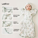 WELLBER (WELLBER) Newborn baby anti-shock sleeping bag surrender baby 0-6 months package anti-kick quilt Lulin Xiaomenghu L