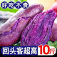 Guochunle soft, glutinous and sweet purple sweet potato fresh 10 Jin Jin equals 0.5 kg Sweet potato wholesale violet sweet potato sweet potato vegetables Purple potato with box 5 Jin Jin equals 0.5 kg Selected packaging