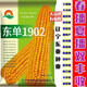 Newly planted double nationally approved Dongdan 1902 corn seeds, original low-stem big sticks, lodging resistance, rust resistance, high temperature resistance and not bald Dongdan 1902 4200 grains 3.3Jin Jin equal to 0.5kg or so x1 bag quality nationally approved original