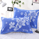 Ha Zun Shanghai old-fashioned jacquard pillow towel pure cotton terry pair adult couple home wedding single pillow towel Wu Nian Lily blue 2 pack
