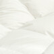 Peter Kanu down quilt spring and autumn quilt winter quilt goose feather white goose down quilt core cotton thickened feather quilt double thick quilt winter quilt (40 count pure cotton fabric) 150*200cm (universal for single beds)
