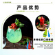 FAST.KING Blue Orange Liqueur Liqueur Cocktail Mixed Base Wine Foreign Wine Mint Violet Strawberry Sweet Wine [One Stop Buy All] 6 Bottles Combination