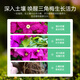 Lupan Bougainvillea special flower-stimulating fertilizer nitrogen, phosphorus and potassium ternary compound fertilizer for household potted flowers to bloom quickly