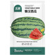 Beishu Lazy Man Watermelon Seed Seedlings Giant Extra Large Super Sweet Fruit Seed Lazy Man Watermelon Seeds About 50