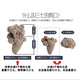 
Xiao Churen [Official Direct] Selected Panax notoginseng Yunnan Wenshan Selected Spring Panax notoginseng Authentic Tianqi Selected 15 heads and 15 without cutseng 500 grams [Medical Effect King]