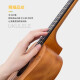 
Yasato 23-inch ukulele Beginners Students Adult Men and Women Uklili Children's Beginner Four-String Small Guitar 23-inch Classic Logs + Gift Bag