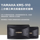 Yamaha Yamaha KMS910 Home Cinema KTV Audio-Kombination Home Set KTV Song Order Machine All-in-One Karaoke Audio Set 2.0 Home KTV System/PRF Engineering Customized Heckverstärker