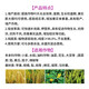 Jingbo Jin Potassium Plant Source Potassium Dihydrogen Phosphate Rapid Phosphorus and Potassium Supplement Plant Nutrient Fertilizer Stable and Increased Yield and Resist Lodging 50g/bag