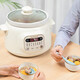SUPOR ELECTRIC POT POT MAISON STANG ÉLECTRIQUE POT ORIGINAL MINDE PUPLE POT PORT INTERT