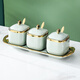 Ruishun Internet celebrity ceramic seasoning box household seasoning jar fruit green salt jar seasoning bottle set with tray spoon 3 jars 1 pot + 1 chassis + 3 spoons