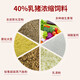 Xintainong 846 suckling pig concentrated feed, conservation material, fish meal peeled and puffed soybean meal, good palatability pig feed 20KG/bag 2 bags 846