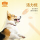 Maifudi Dog Snacks Pet Snacks Ham Sausage Chicken Flavor 20g*20 Pips