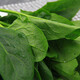 300g big spinach
