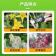 98% ethanol plant growth regulator DA-6 flower and fruit preserving foliar fertilizer pesticide Zheng's Chemical 1000g