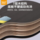 361 table tennis racket professional grade 3-star high elasticity beginner children's table tennis racket horizontal and pen-hold set entry-level 3-star mixed racket 2 pieces 3 balls + racket bag