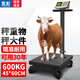 Yongcai weighing electronic scale commercial wheel scale household floor-standing large platform scale hand push roller precision electronic scale foldable electronic pig scale industrial logistics floor scale 600 kg extra thick thick bracket 45*60 table wheel scale