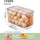 Home KATEI STORY Japanese egg box with lid refrigerator storage box fruit box sealed crisper food grade egg storage box large transparent 5L (one)