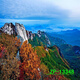 Célébrité Internet Backs de fond live tissu 3D Paysage en trois dimensions peinture de paysage mobile haute définition live chambre extérieur fond intérieur mur ZP-13547 2,5 mètres de large - 3 mètres de haut (type de crochet)