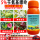 Bisel benzylaminopurine bud bursting hormone flower bud expansion fruit tree vegetable plant growth regulator pesticide 500ml