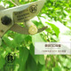 Japan Fukuoka Tools Gardening Scissors Fruit Tree Pruning Scissors Branch Scissors Garden Scissors Flower Scissors Orchard Scissors FO-4308A Seiko Powerful Pruning Scissors 8 inches