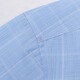 Shanshan (FIRS) long-sleeved shirt men's plaid casual shirt young and middle-aged business formal wear-free shirt 2004 blue 39