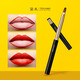 TEXAMO makeup brush can retractable lip brush. Person with concise mink lips makeup brush makeup tool Beauty makeup tools black gold lip brush