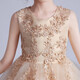 Dev Ake Kinderkleid Girl Prinzessin Rock Moderatorin High-End Piano Performance Evening Kleid Kleid mit kleinem Mädchen Hochzeits Sommer Big Boy BX683 Langarmer Champagnerfarbe 160 (Empfohlen 71-85 Jin [Jin Equals Equals ärgerlich]))