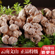 临世堂云南文山高品质三七中药材滇田七20头春三七500g三七粉 【特级】20头(20个)500g