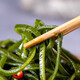 福宁港压缩海带丝22g/包 干货非盐渍 裙带菜凉拌 霞浦特产  源头直发 【实惠装】22g*10包
