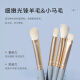 Huayang Blue Bridge Makeup Brush Set 10 Pieces (Animal Hair Version) Novice Makeup Tools Powder Brush Eyeshadow Brush