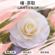 Siyu (syoss) Camellia oil nourishing and repair kit (wash 420ml + moisturize 420ml)