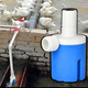 Nuevo bebedero automático para pollos, patos, gansos y aves de corral de Xushansi, alimentador de agua, tanque de agua potable para patos, equipos y suministros para la cría de ganado vacuno y ovino, entrada de agua lateral de 4 minutos (20 mm) de tercera generación
