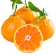 Moisturize the taste and come to Sichuan Wuzhihuo Chou Orange Fresh Seasonal Fruit Gift Box Big Fruit Chou Orange Eight Strange Orange Rake Orange Rake 6Jin[Jin equals 0.5 kg] Gift Box Pack
