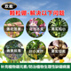 Huaneng granules boron trace element citrus fruit tree wheat vegetable base fertilizer granules slow-release boron fertilizer general fertilizer 1000g