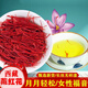 Peking Tongrentang Black Friday Safran Authentic Tibet Special Wild Saffron Erstklasse in Wasser getränkt zur Entfernung von Stauungs-, Brust- und Membrankomprimierung Spezielle Qualität Super A Duft 10g Doppelte
