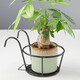 SuoErnuo hanging flower rack, balcony iron simple hanging flower rack, succulent pothos rack decorative rack, one pack - black [base diameter 18*top ring diameter 22]