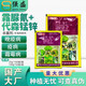 Jiwu Downy Mildew Phytophthora Crimonylurea Manganese Zinc 72% Cucumber Tomato Late Blight Downy Mildew Phytophthora Pesticide Jiwu Pesticide 25g