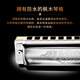 SEYDEL德国进口SEYDEL赛德 十孔10蓝调成人口琴 1847 CLASSIC 10孔LC调