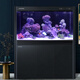 Fujian River (Minjiang) Fischtank Aquarium Bildschirm Wohnzimmer ökologische Landschaftsbau wasserfreies Goldfisch-Tank Zierdrache Fischtankschildkröten-Wassergras-Tank Noble Schwarz (Fischbeschaffungsgeschenke + Landschaftsgestaltung Giftpaket + verbesserter Filter) Länge 60* Breite 30* Höhe 135 (Fischtank + Schrank) Schrank)