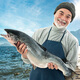 Salmon Family salmon whole 3kg has been divided into fillets, directly sourced from Chile, gift box