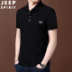 吉普（JEEP）宽松休闲夏季新款男士短袖T恤青年polo翻领商务半截袖上衣打底衫 8638蓝色 XL（125斤-140斤）