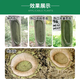 Guoguang Membrane Taida Tree Bonsai Fruit Tree Wound Smear Healing Agent Grafting Rot Healing Sealing Cream 500g
