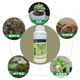 Indolebutyric acid, naphthalene acetic acid, rooting agent, explosive root seedlings, fruit tree succulent cuttings growth regulator