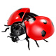 ZF Electric Remote Control Ladybug Toy Children Internet Celebrity Simulation Tricky Induction Moving Insect Reptile Animal Boys Girls Remote Control Ladybug Red 9922+ Screwdriver