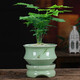 Qiantangyuan (Qian Tang Yuan) Kreatives grünes Bambus Sukkulenter Blumentopf Lazy Automatisches Wasser saugfähig Ceramics Haushalt atmungsaktivem Mandarin Bambus Phalaenoptic Orchid Pot Pflanze Große yy pinkgrün 719+ Lazy Base