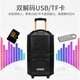 TEMEISHENG QX1229H Square Dance Speaker Outdoor Portable Karaoke Bluetooth Trolley Mobile High-Power Singing Microphone Speaker 10-inch Standard Configuration + Two Handheld