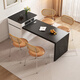 Pashaman Dining Table Rock Slab Island Dining Table Integrated Open Kitchen Small Apartment Telescopic Dining Table and Chair Combination Advanced 1745y Caterpillar Dining Chair 4 (1047p) 12 mm M Rock Panel Rock