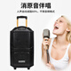 TEMEISHENG QX1229H Square Dance Speaker Outdoor Portable Karaoke Bluetooth Trolley Mobile High-Power Singing Microphone Speaker 10-inch Standard Configuration + Two Handheld